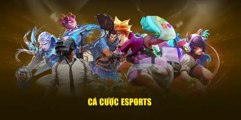 Cá cược Esports