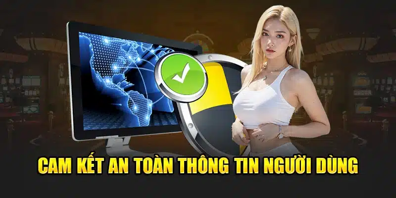 Cam kết an toàn thông tin người dùng 