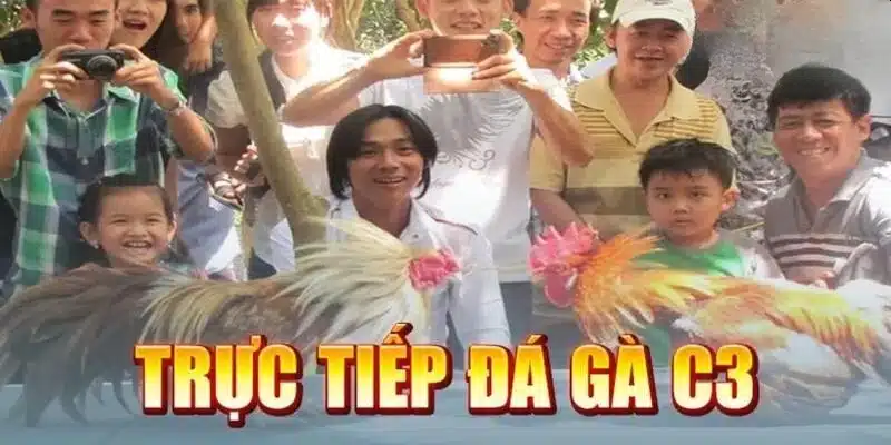 Mẹo giúp anh em cược đá gà trực tiếp C3 chắc thắng