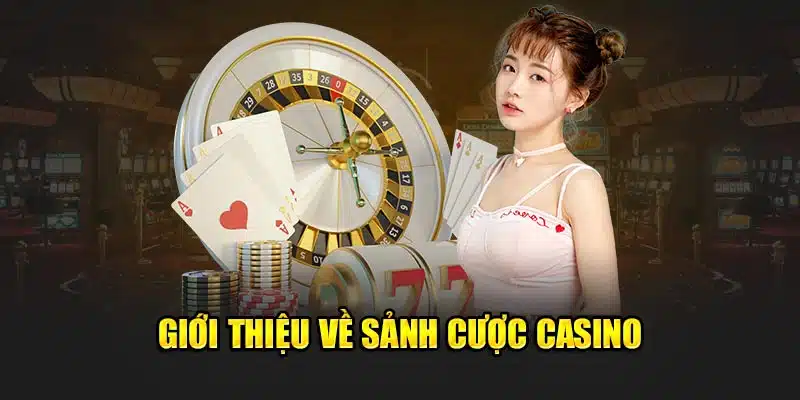 Giới thiệu về sảnh cược casino