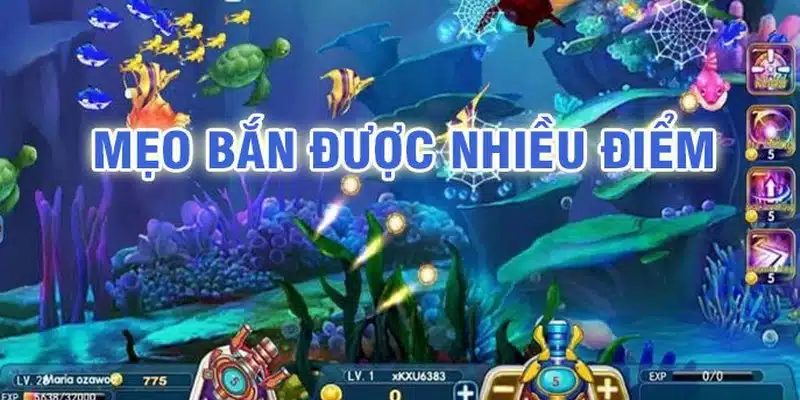 Mẹo chơi game bắn cá ăn tiền luôn thắng đậm tại các nhà cái