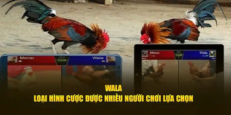 Wala - Loại hình cược được nhiều người chơi lựa chọn